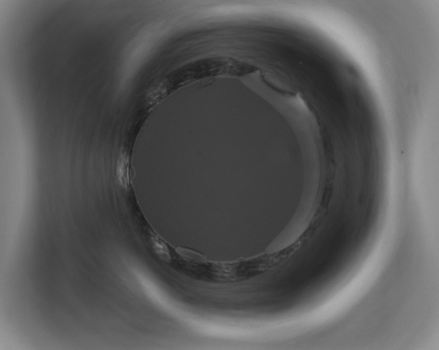 X0000113060766200909041038