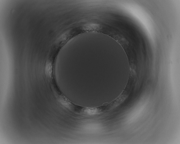 X0000113060767200909041038