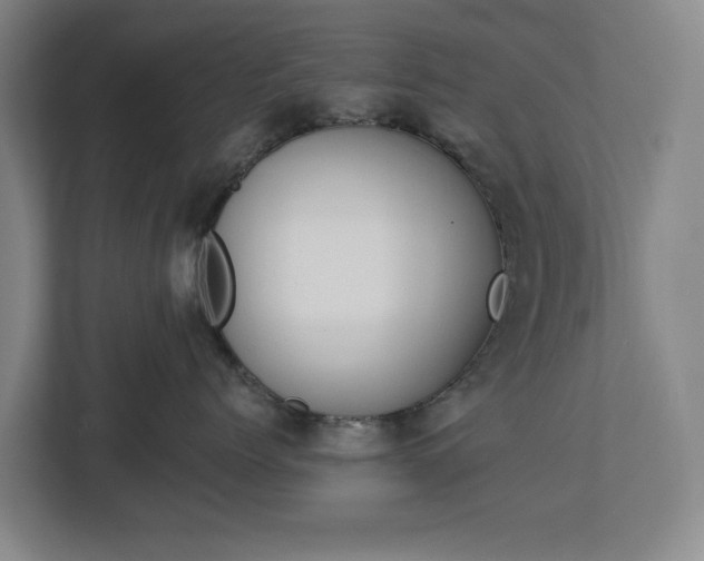 X0000113060768200909041038