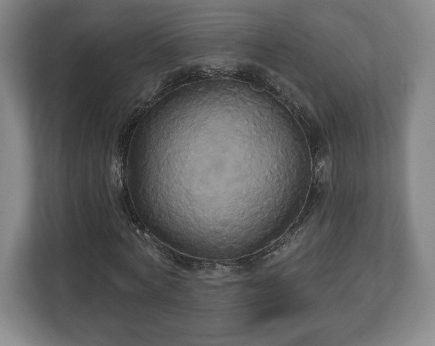 X0000113060772200909041037