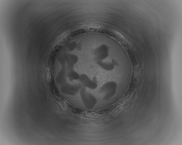 X0000113060774200909041037