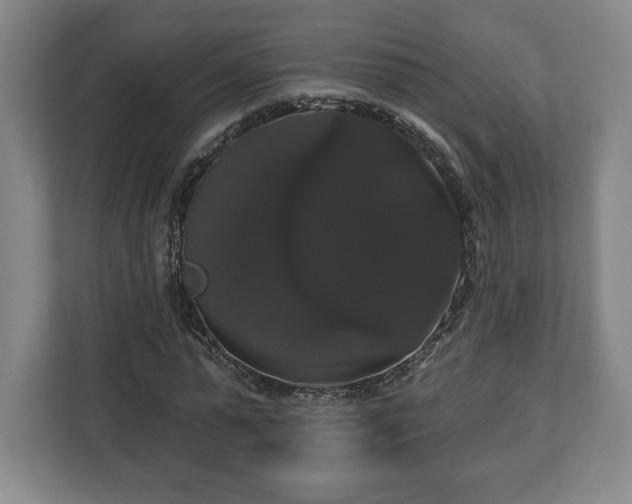 X0000113060775200909041037