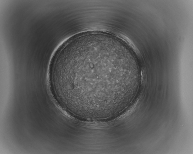 X0000113060780200909041037