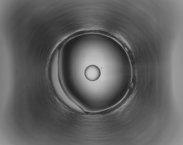 X0000113060781200909041037
