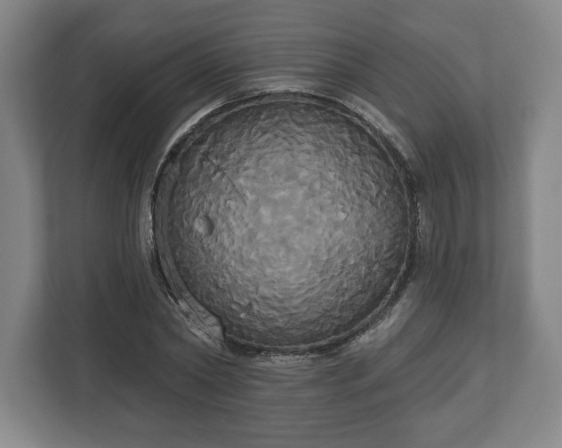 X0000113060782200909041037