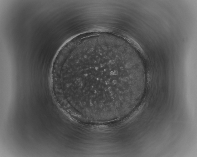 X0000113060784200909041037