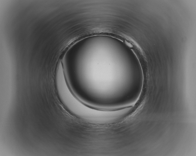 X0000113060785200909041037