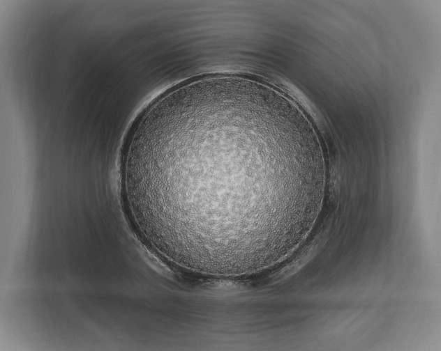 X0000113060787200909041037