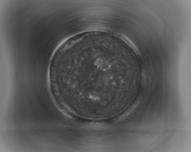 X0000113060788200909041037