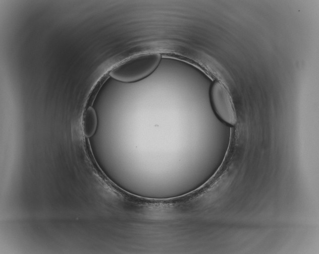 X0000113060789200909041037