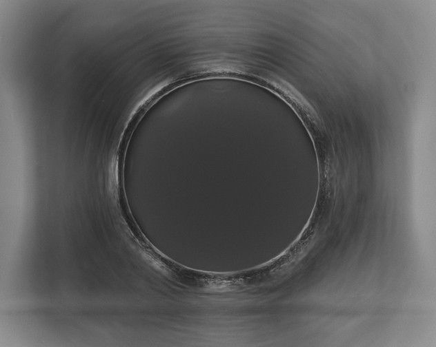 X0000113060790200909041037
