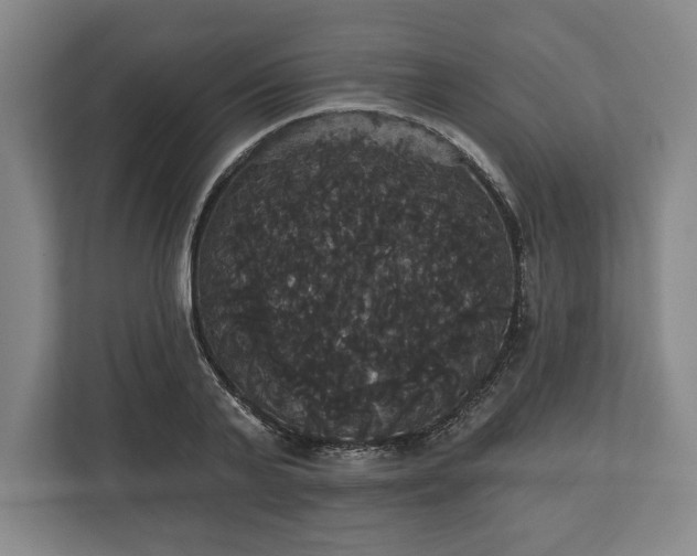 X0000113060791200909041037