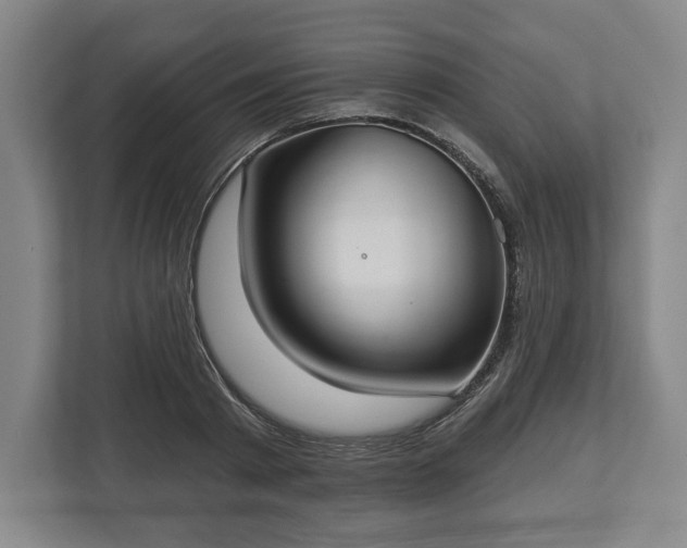 X0000113060793200909041037