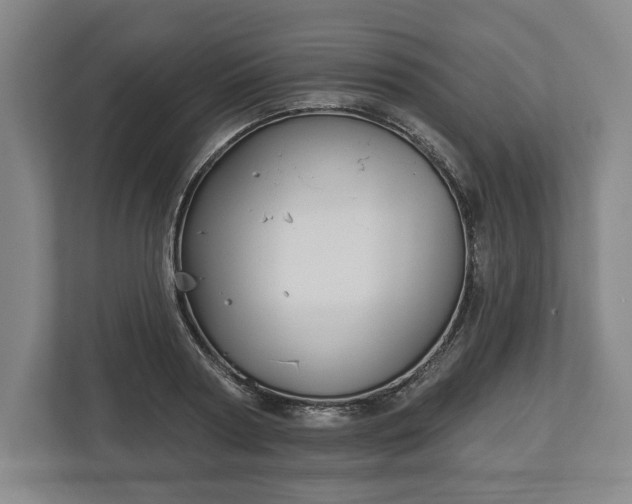 X0000113060794200909041037