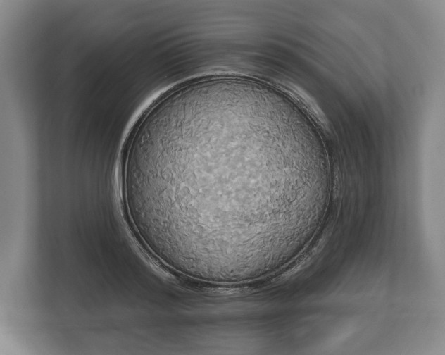 X0000113060796200909041037