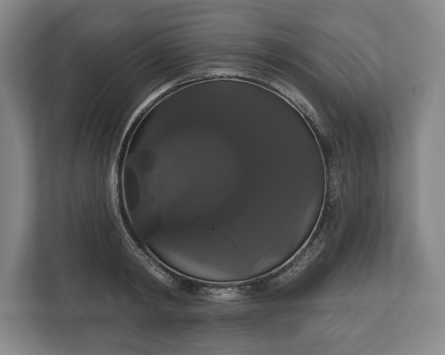 X0000113060798200909041037