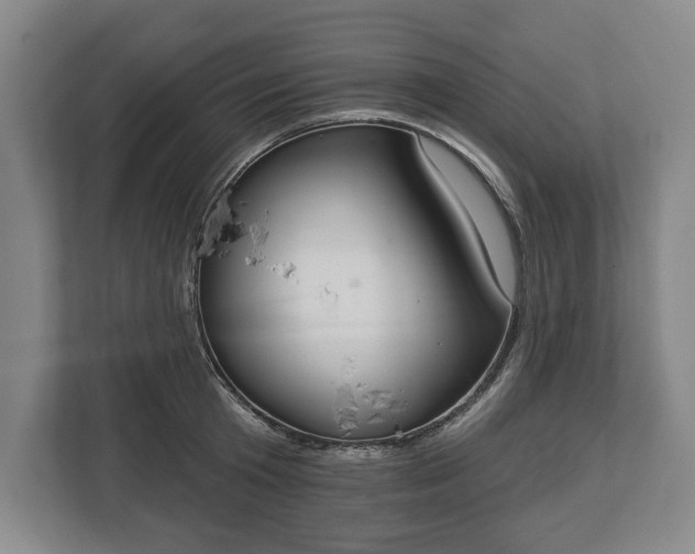 X0000113060801200909041037