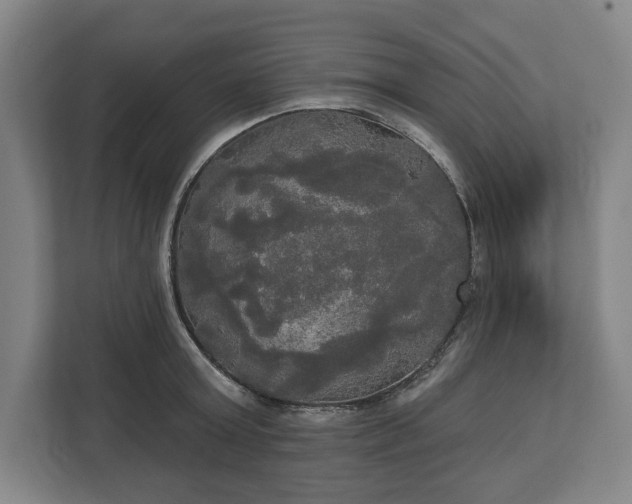X0000113060803200909041037