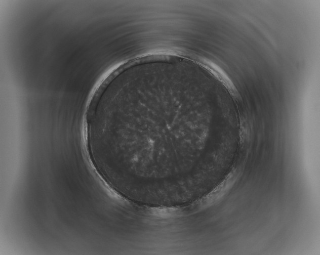 X0000113060804200909041037