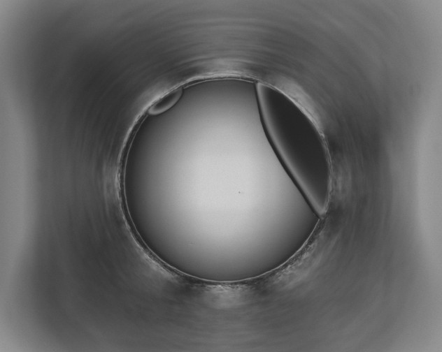 X0000113060805200909041037