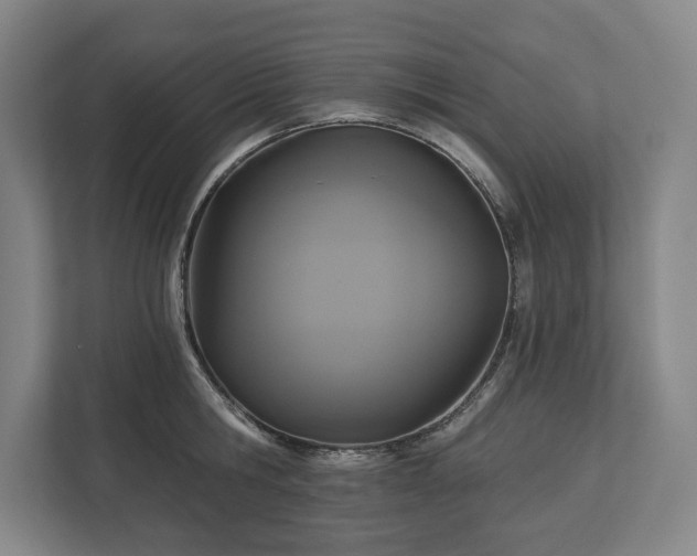 X0000113060806200909041037
