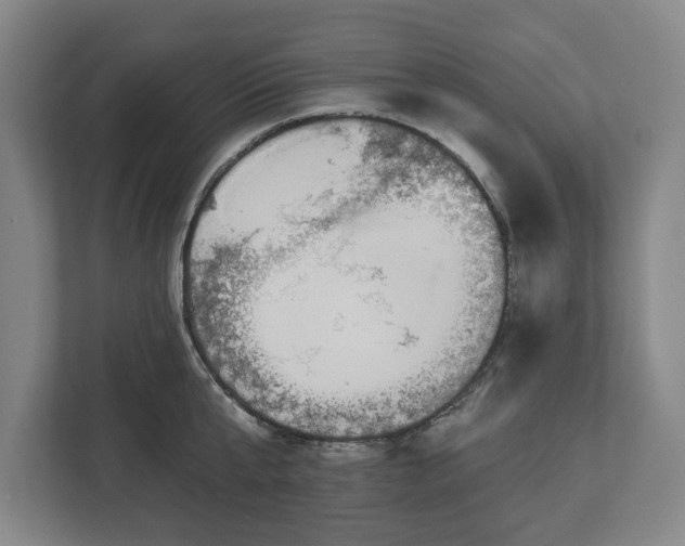 X0000113060807200909041037