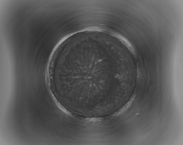 X0000113060808200909041037