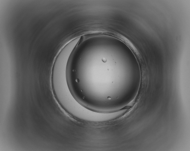 X0000113060810200909041036
