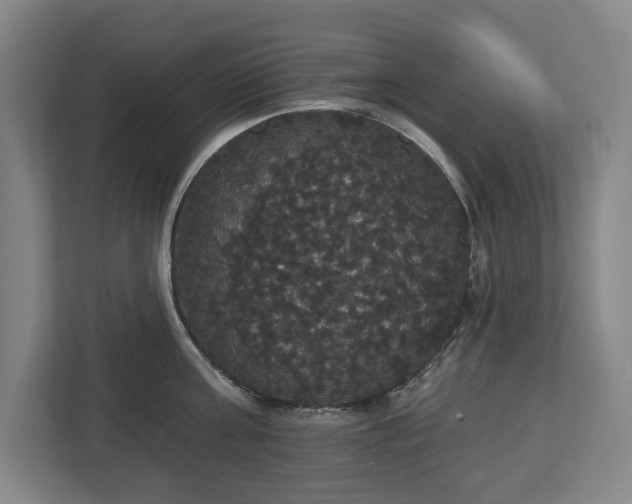 X0000113060811200909041036