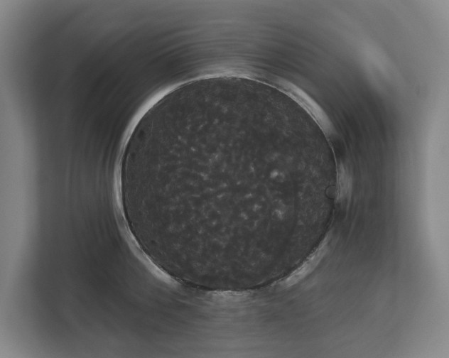 X0000113060812200909041036