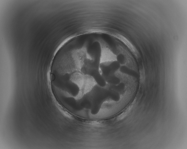 X0000113060814200909041036