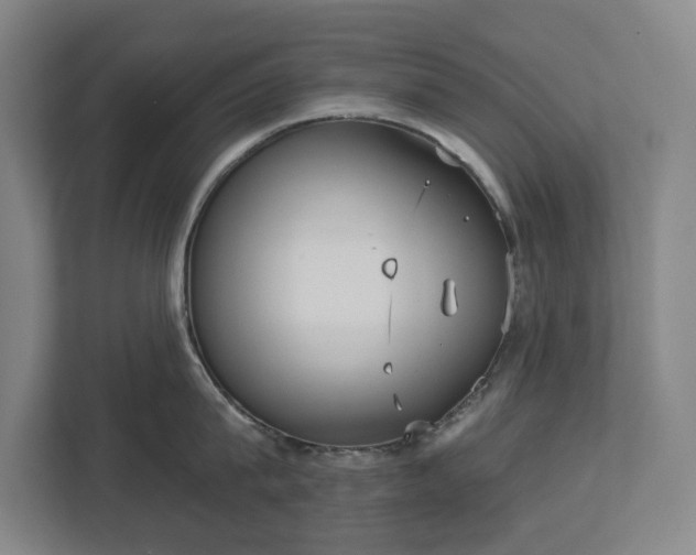 X0000113060815200909041036
