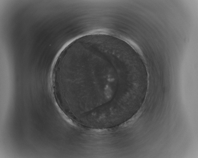 X0000113060816200909041036