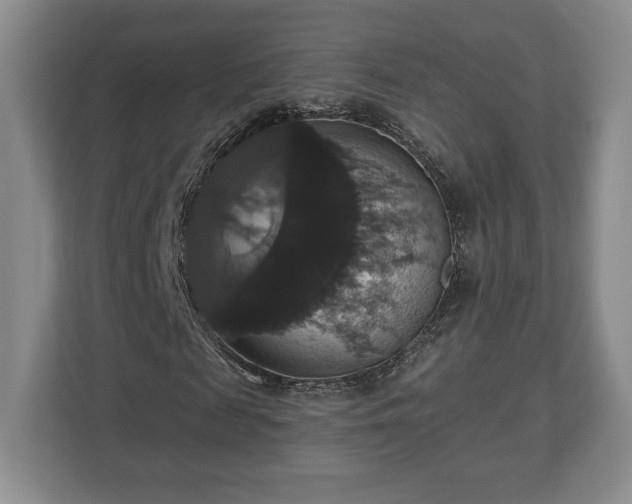 X0000113060817200909041036
