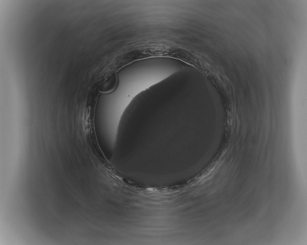 X0000113060818200909041036