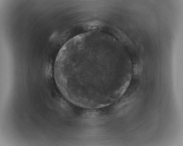 X0000113060820200909041036