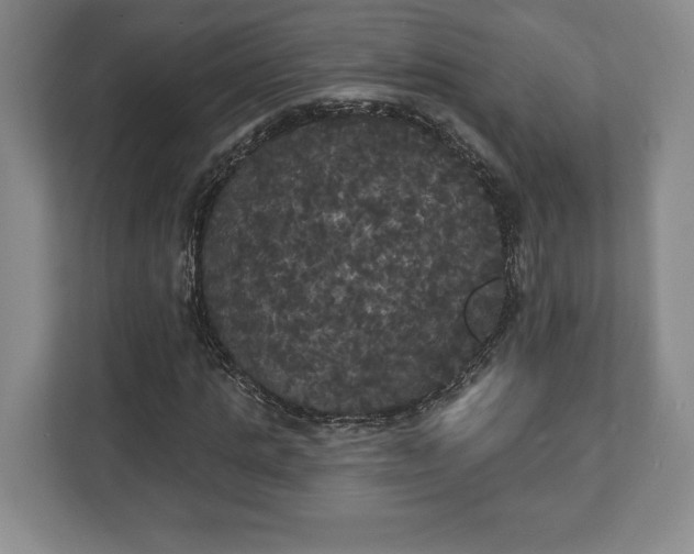 X0000113060821200909041036