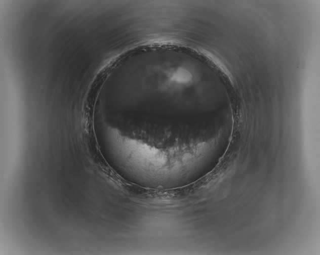 X0000113060823200909041036