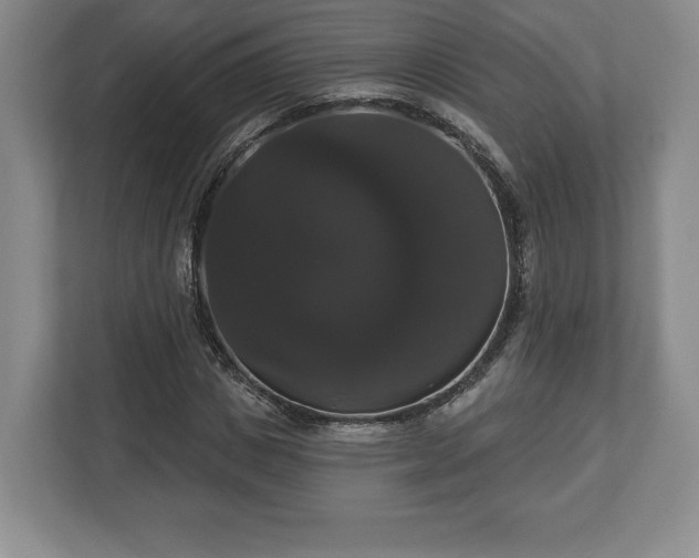 X0000113060825200909041036