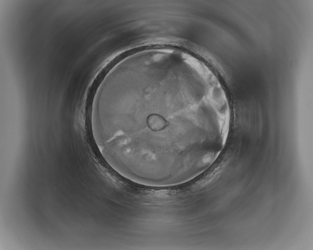 X0000113060828200909041036