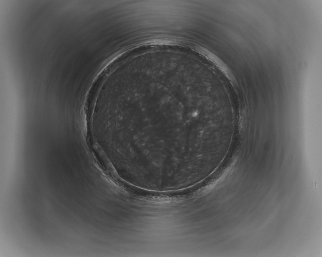 X0000113060829200909041036