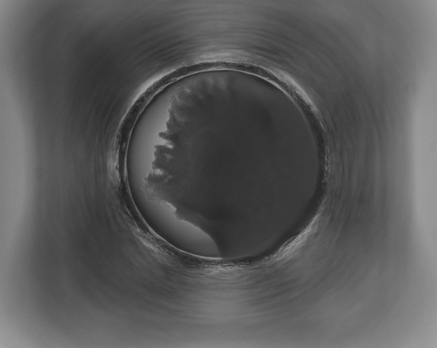 X0000113060830200909041036