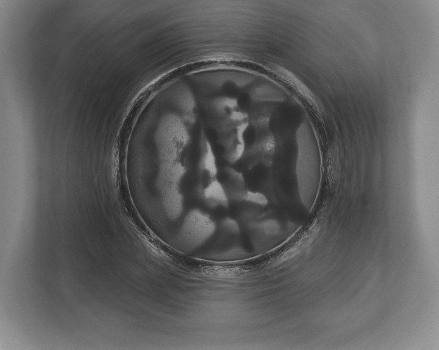 X0000113060831200909041036