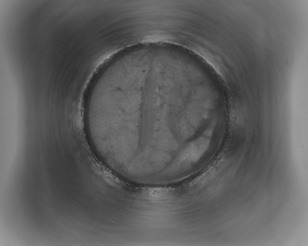 X0000113060832200909041036