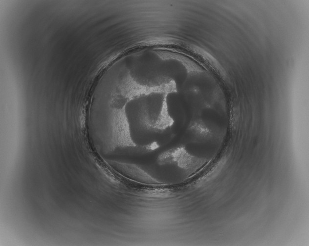 X0000113060833200909041036