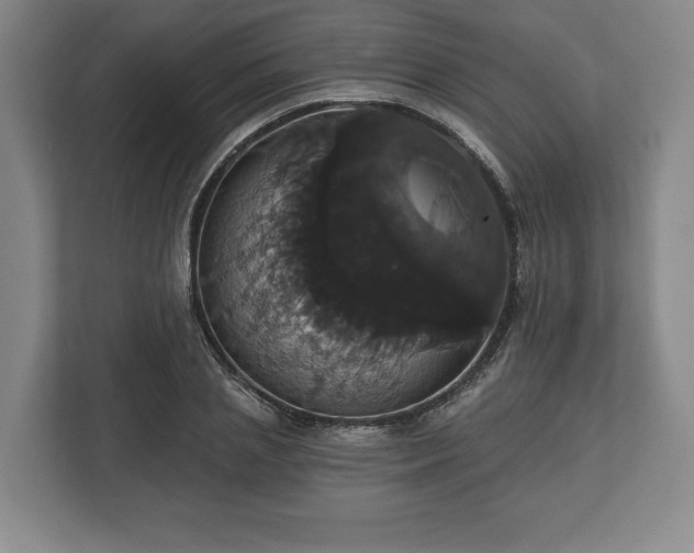 X0000113060837200909041036
