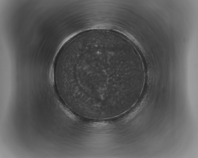 X0000113060838200909041036