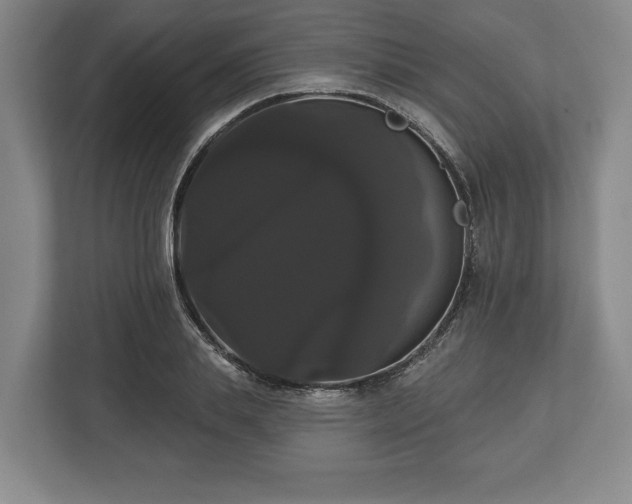 X0000113060839200909041036