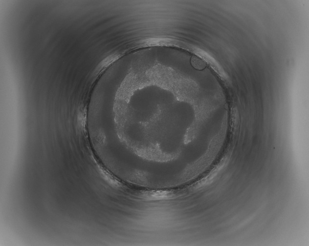 X0000113060841200909041036