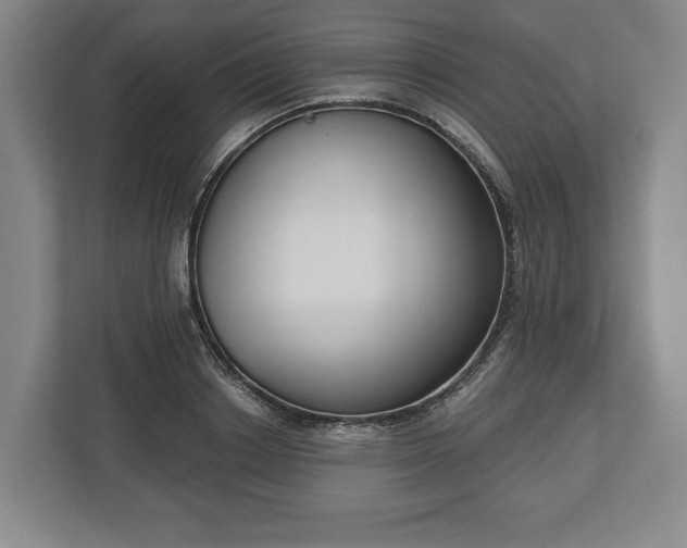 X0000113060842200909041036